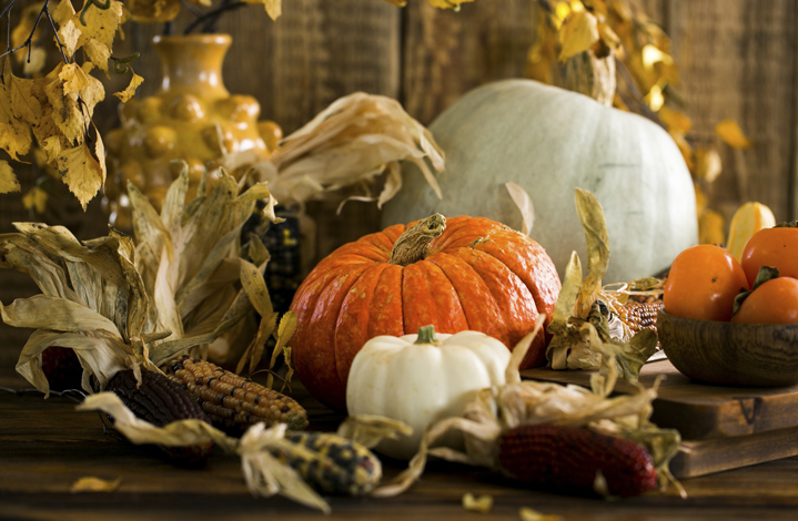 Сега е сезонът на тиквите Може да ги откриете на