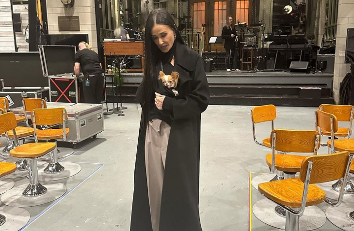 Деми Мур бе една от звездите поканени на афтърпартито на