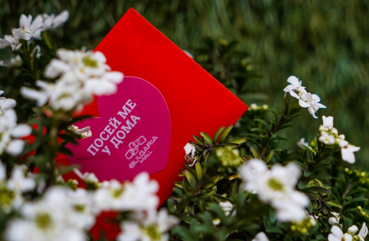 Любовта е цвете казват някои а предстоящият Свети Валентин идва