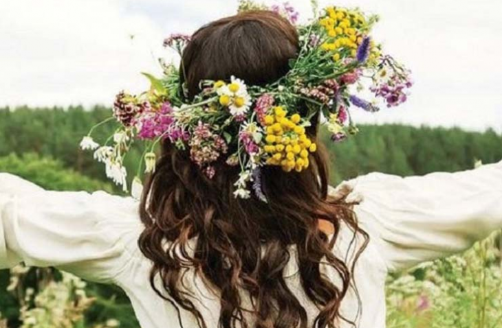 Част от лечебните билки включени в богато илюстрираната книга 77