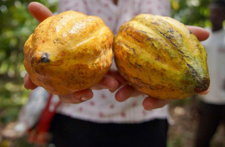 Нели Ангелова обича да пътува Харесва дестинации които съвпадат с