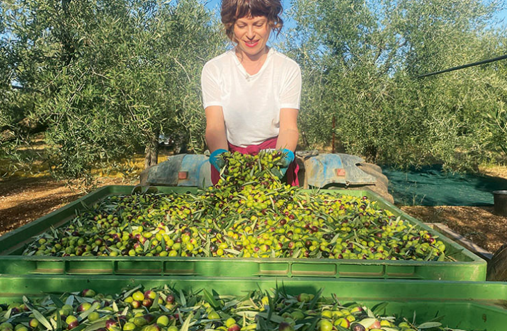 Едно е да гледаш поредицата на Джино ди Кампо по
