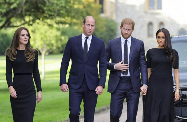 Принц Уилям и принц Хари застанаха заедно пред поданиците демонстрирайки