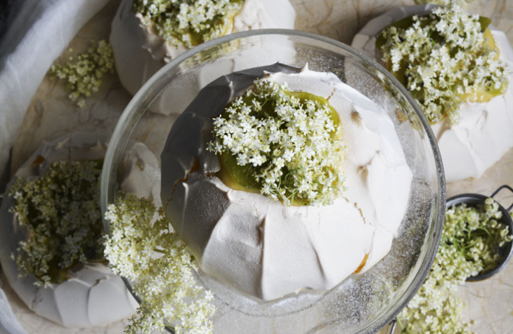 Вятърът роши белите пачки на бъза рони аромата им пише