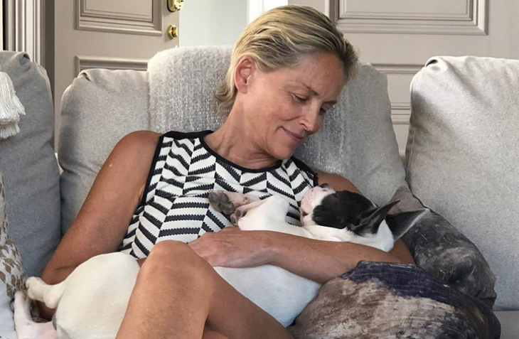 Още едно здравословно изпитание ще трябва да пребори Шарън Стоун