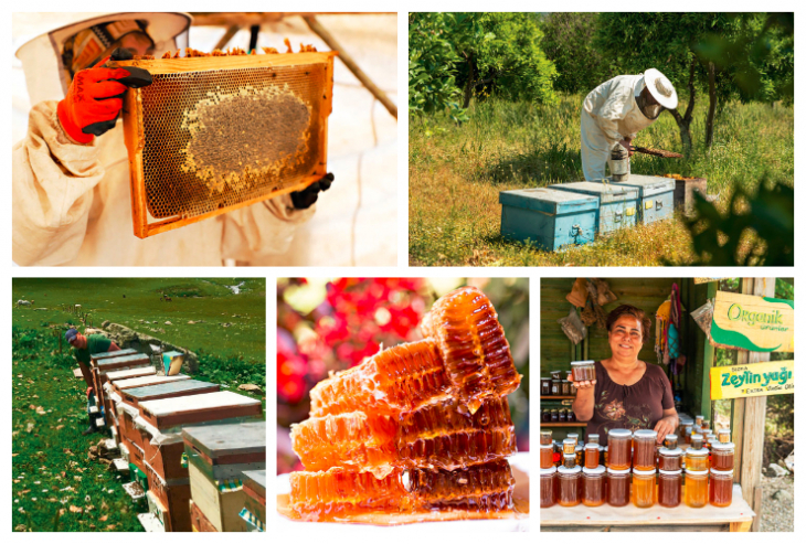 Богатата и разнообразна флора и фауна на Турция повлияват кулинарните