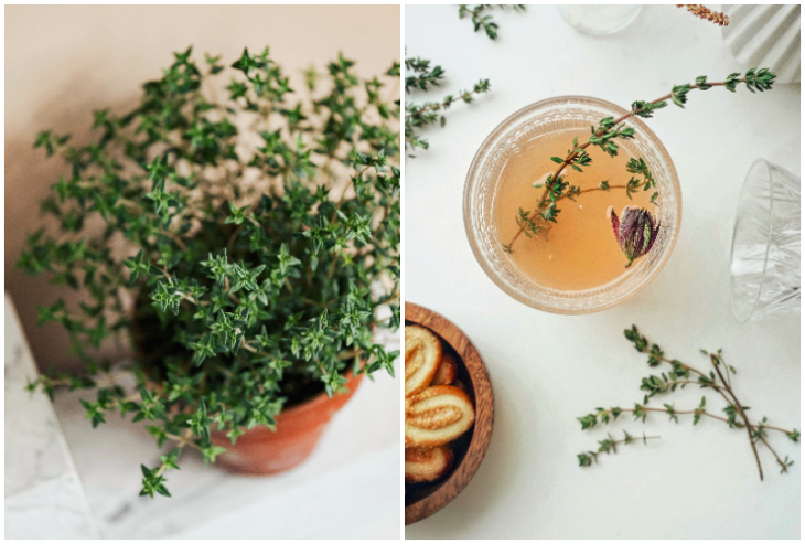 Ароматна непретенциозна и позната от векове мащерката е една от